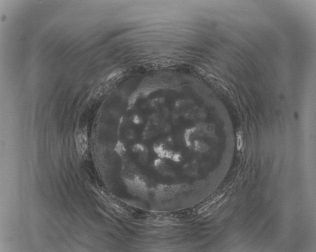 X0000063501011200601231431