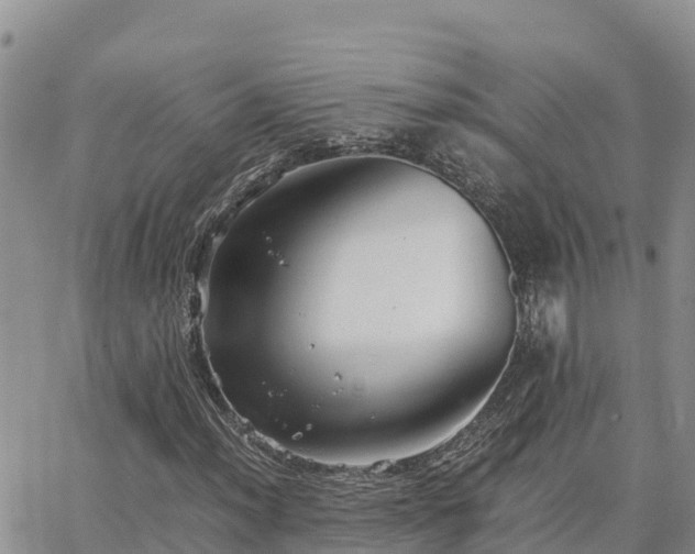 X0000063501012200601231431