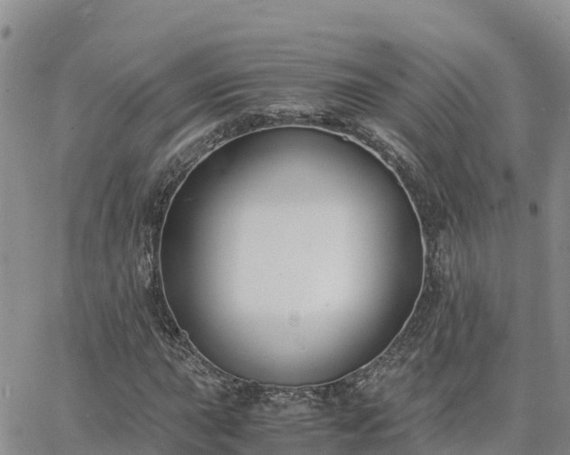 X0000063501015200601231432