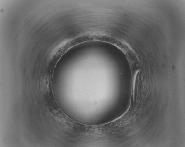 X0000063501016200601231432