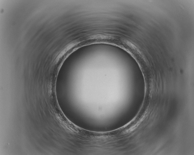 X0000063501017200601231432