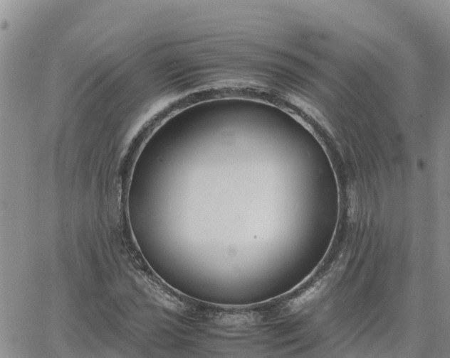 X0000063501021200601231432