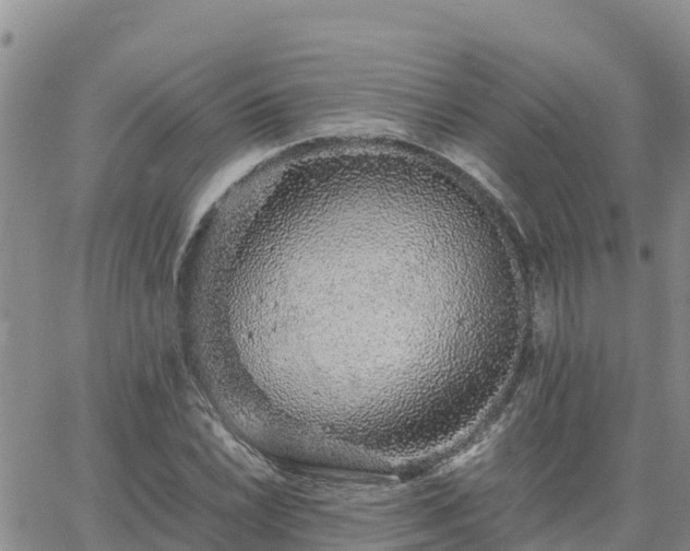 X0000063501022200601231432