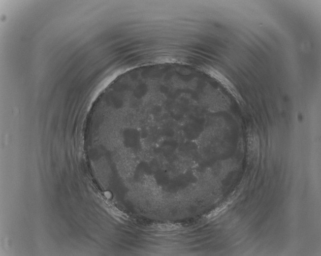 X0000063501023200601231432