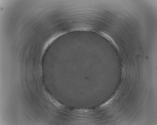 X0000063501027200601231432