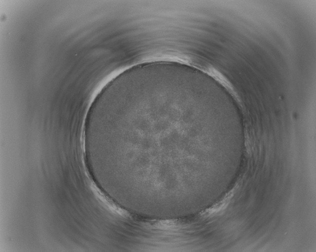 X0000063501028200601231432