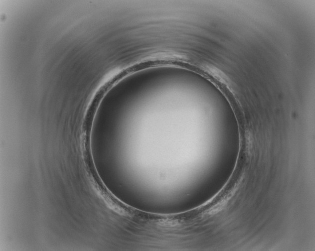 X0000063501029200601231432