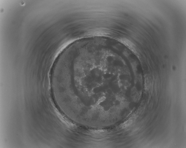 X0000063501031200601231432