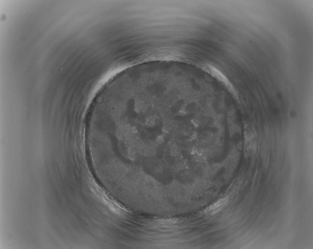 X0000063501035200601231432