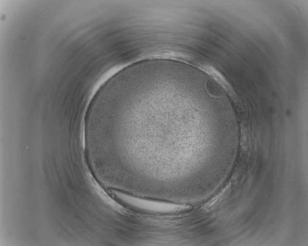 X0000063501036200601231432