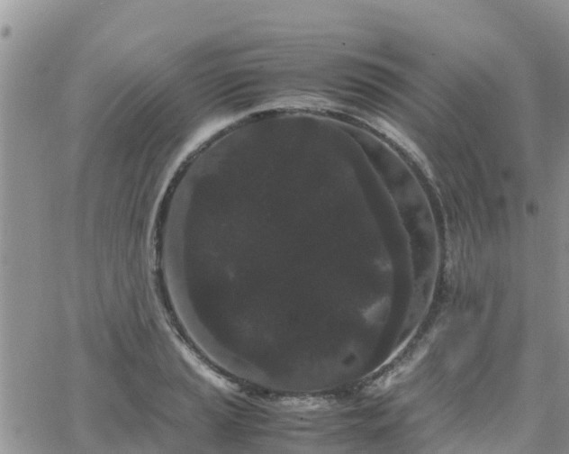 X0000063501037200601231432