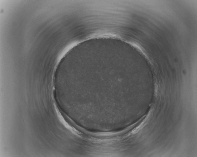 X0000063501038200601231432