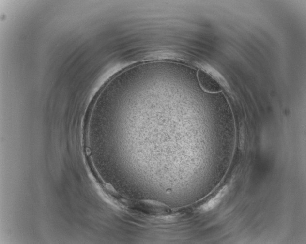 X0000063501039200601231432