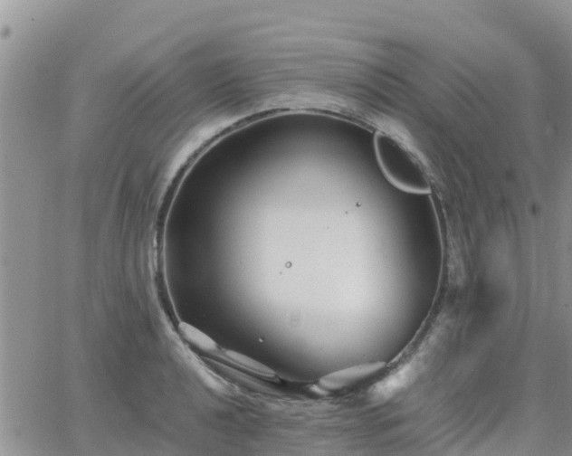 X0000063501040200601231432