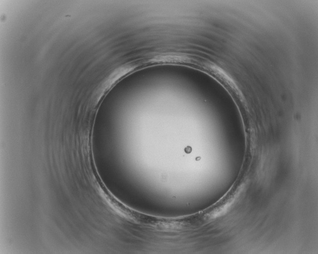 X0000063501041200601231432