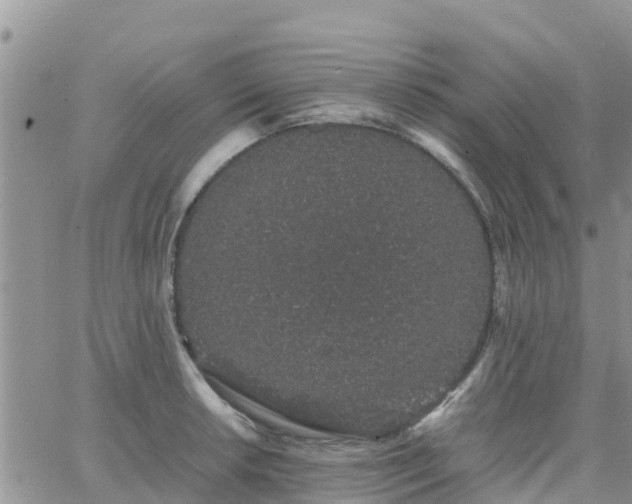 X0000063501042200601231432