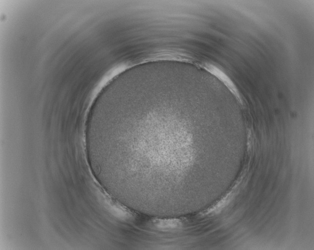 X0000063501043200601231432