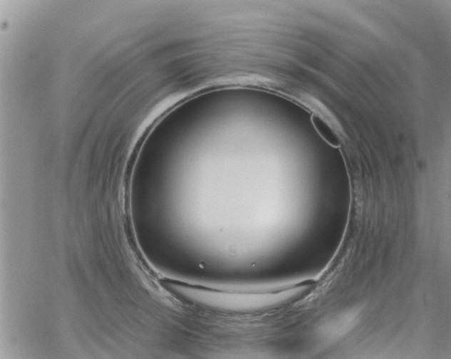 X0000063501044200601231432