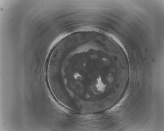 X0000063501045200601231432