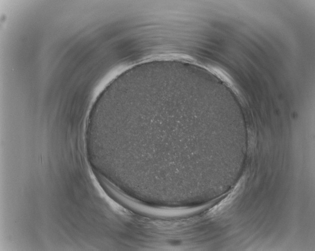 X0000063501046200601231432