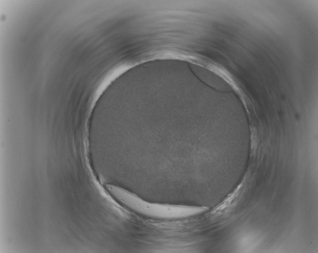 X0000063501048200601231432