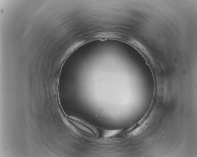 X0000063501049200601231432