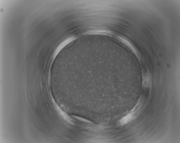 X0000063501050200601231432