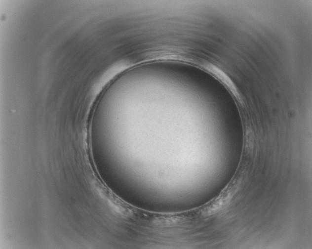 X0000063501051200601231432