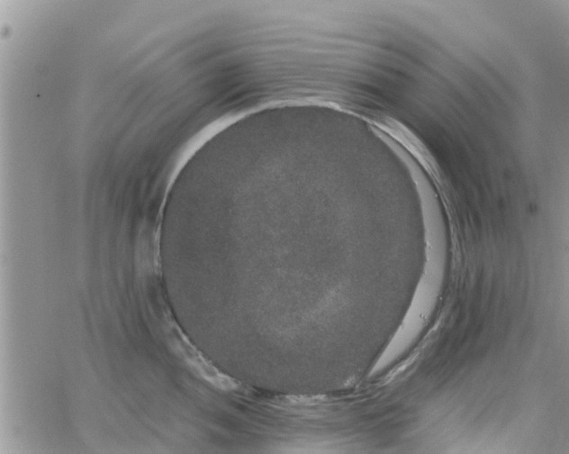 X0000063501052200601231432