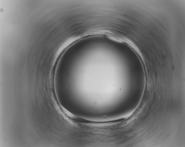 X0000063501053200601231432