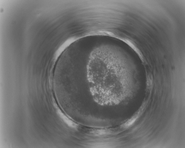 X0000063501054200601231432