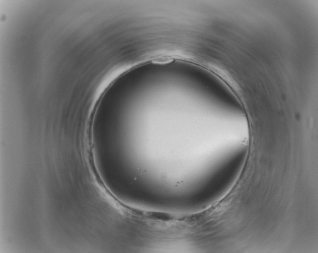 X0000063501056200601231432