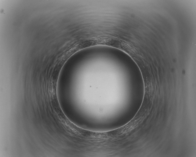 X0000063501058200601231431