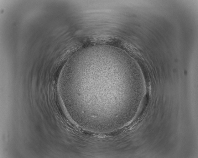 X0000063501059200601231431