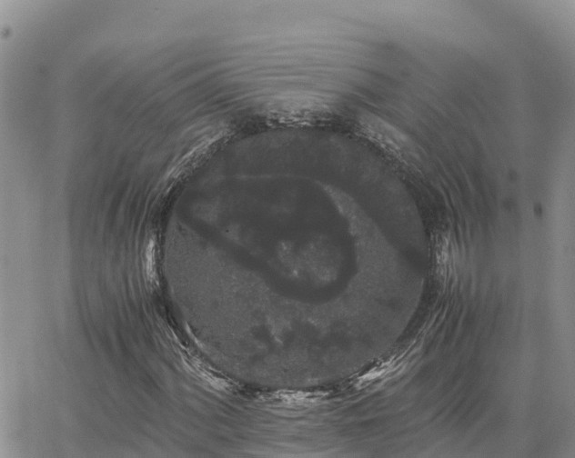 X0000063501060200601231431