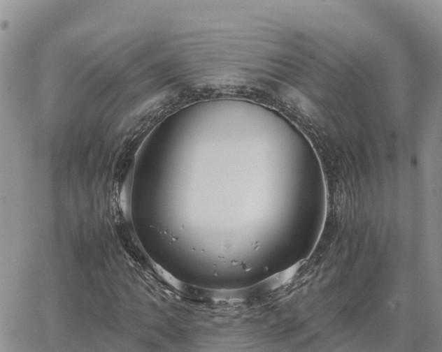 X0000063501062200601231431