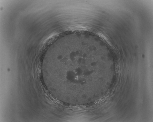 X0000063501063200601231431