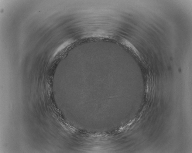 X0000063501064200601231431