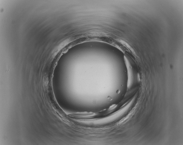 X0000063501065200601231431