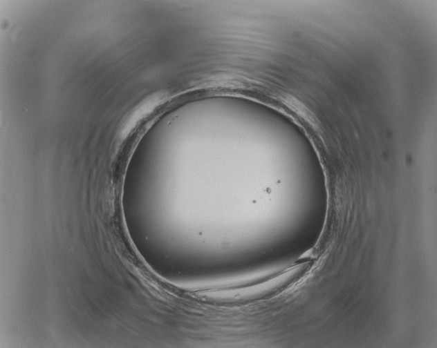 X0000063501067200601231431