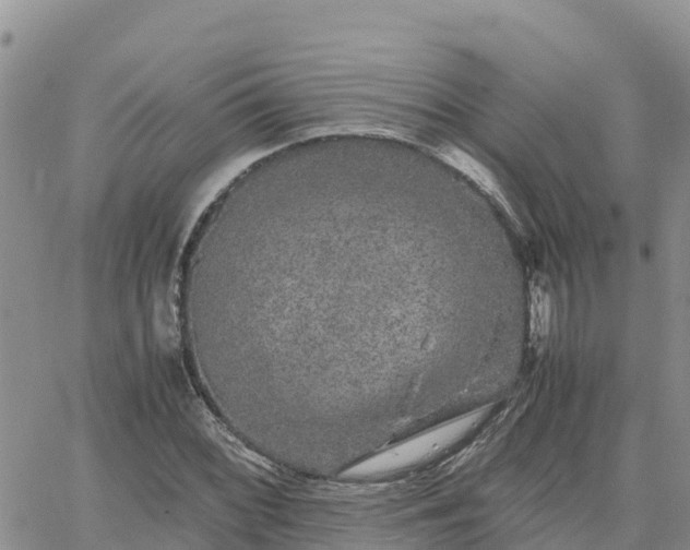 X0000063501068200601231431