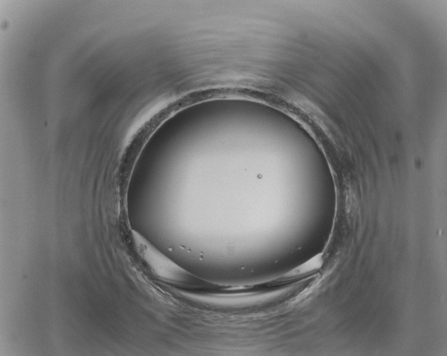 X0000063501069200601231431