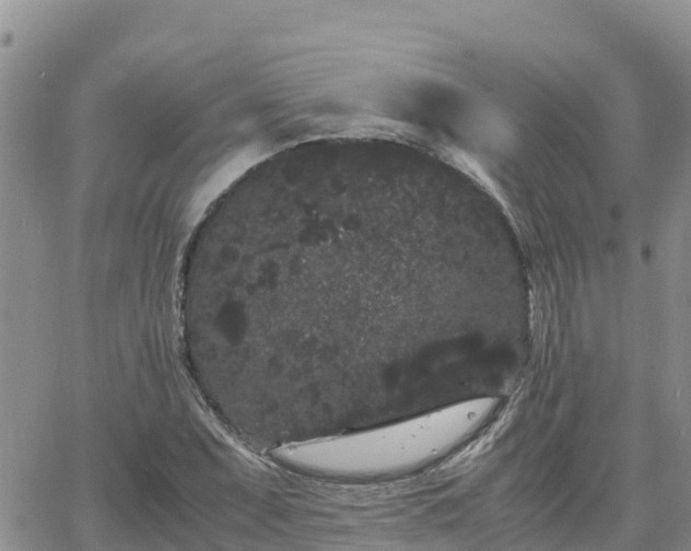 X0000063501071200601231431