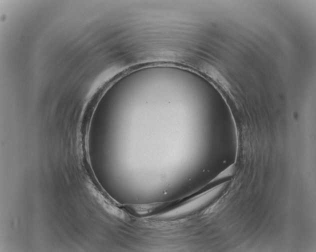 X0000063501072200601231431