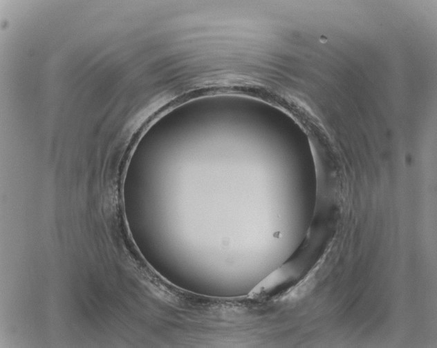 X0000063501073200601231431