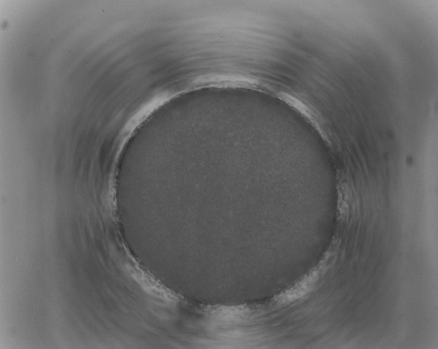 X0000063501074200601231431