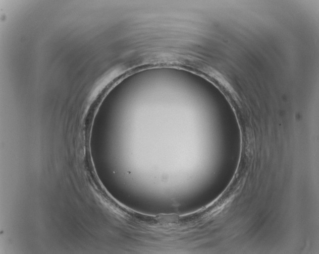 X0000063501075200601231431