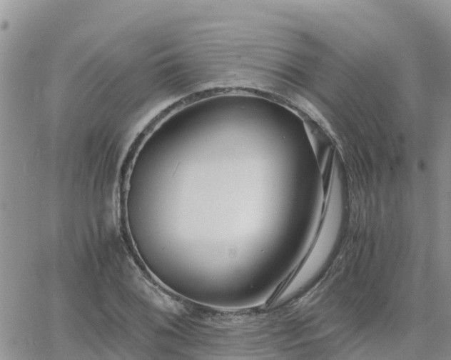 X0000063501076200601231431