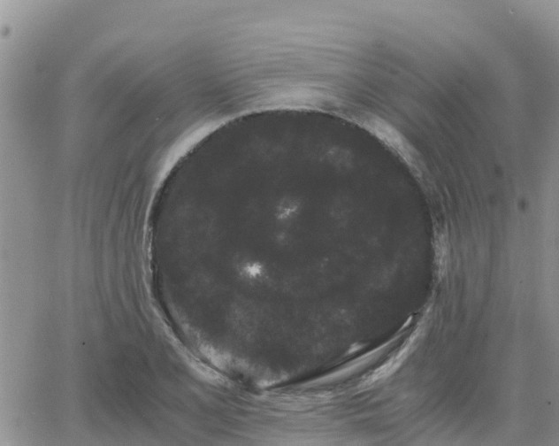 X0000063501077200601231431