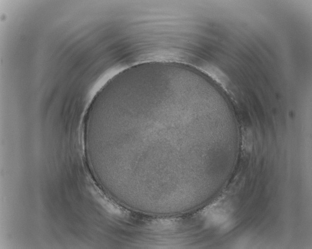 X0000063501078200601231431